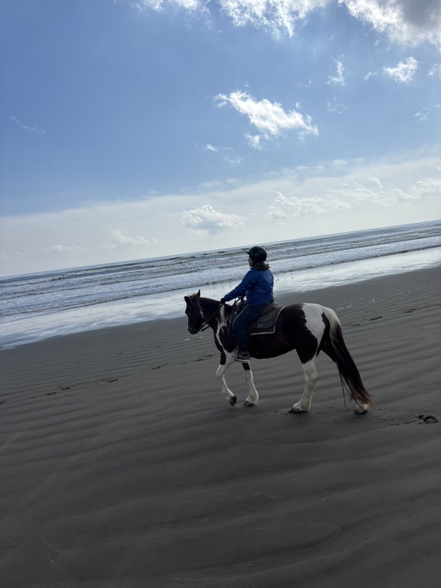 ねこさま tweet media