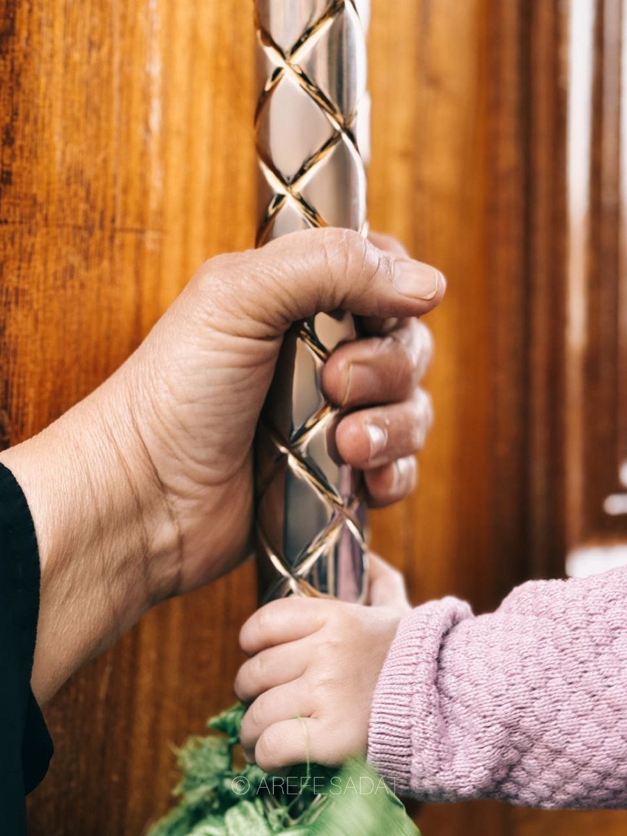 أنا وجميع من فوق التراب
 تراب نعل أبي تراب
💚