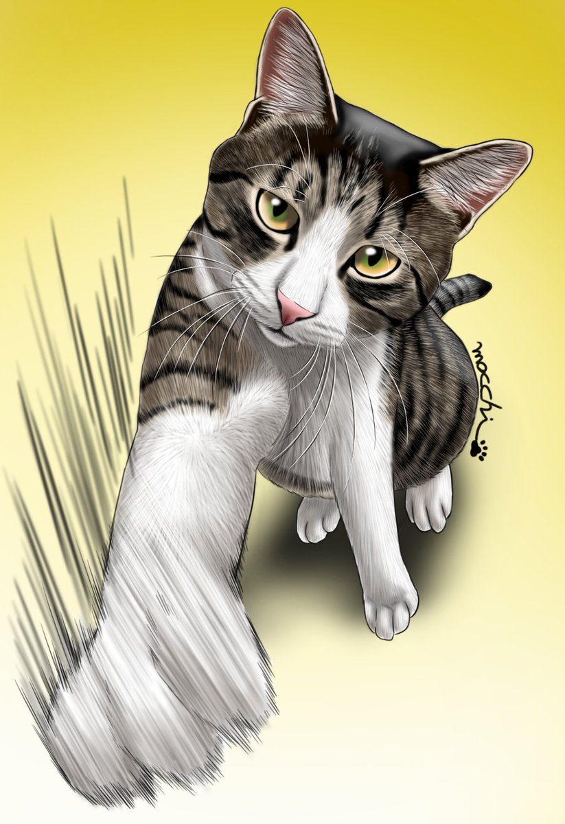 もっち（mocchi） (@mocchimocchi09) / Posts / X