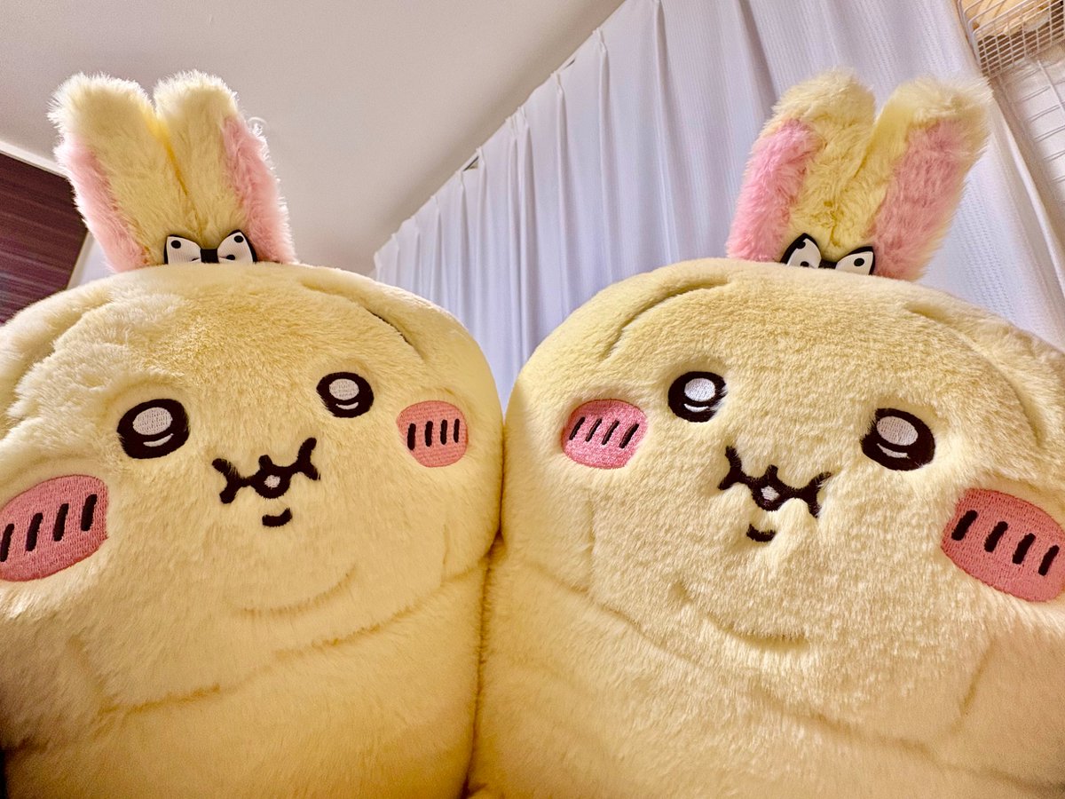 おっはー(*Ü*)ﾉ