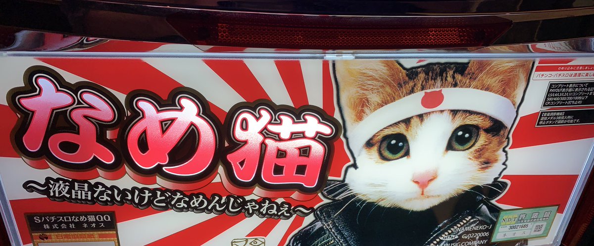 今頃なめ猫が入ってるホールを見つけて震える。少し触ったけど、要は沖