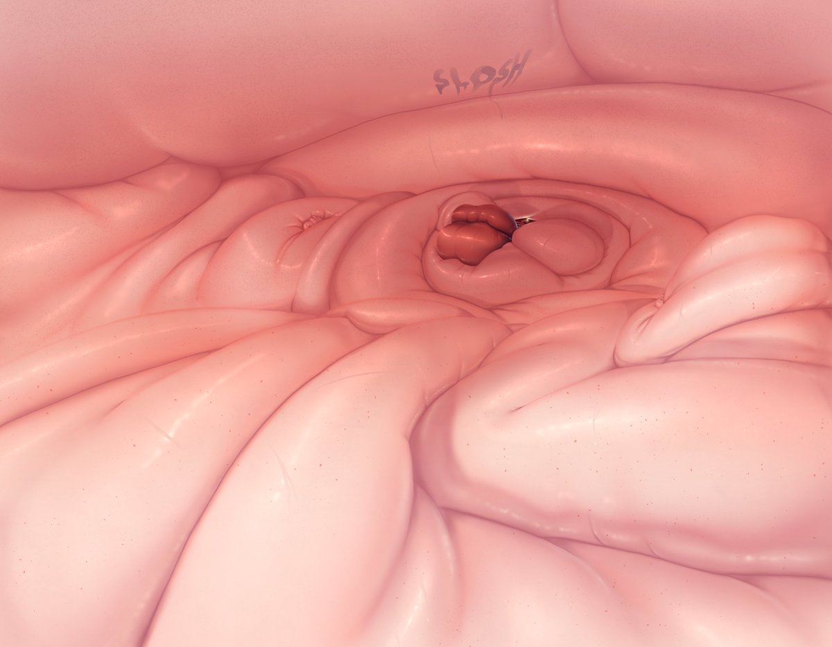 Halcyon 🔞 tweet media