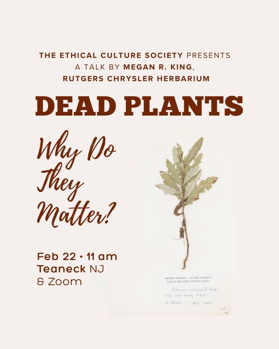 BergenEthicalCulture tweet media