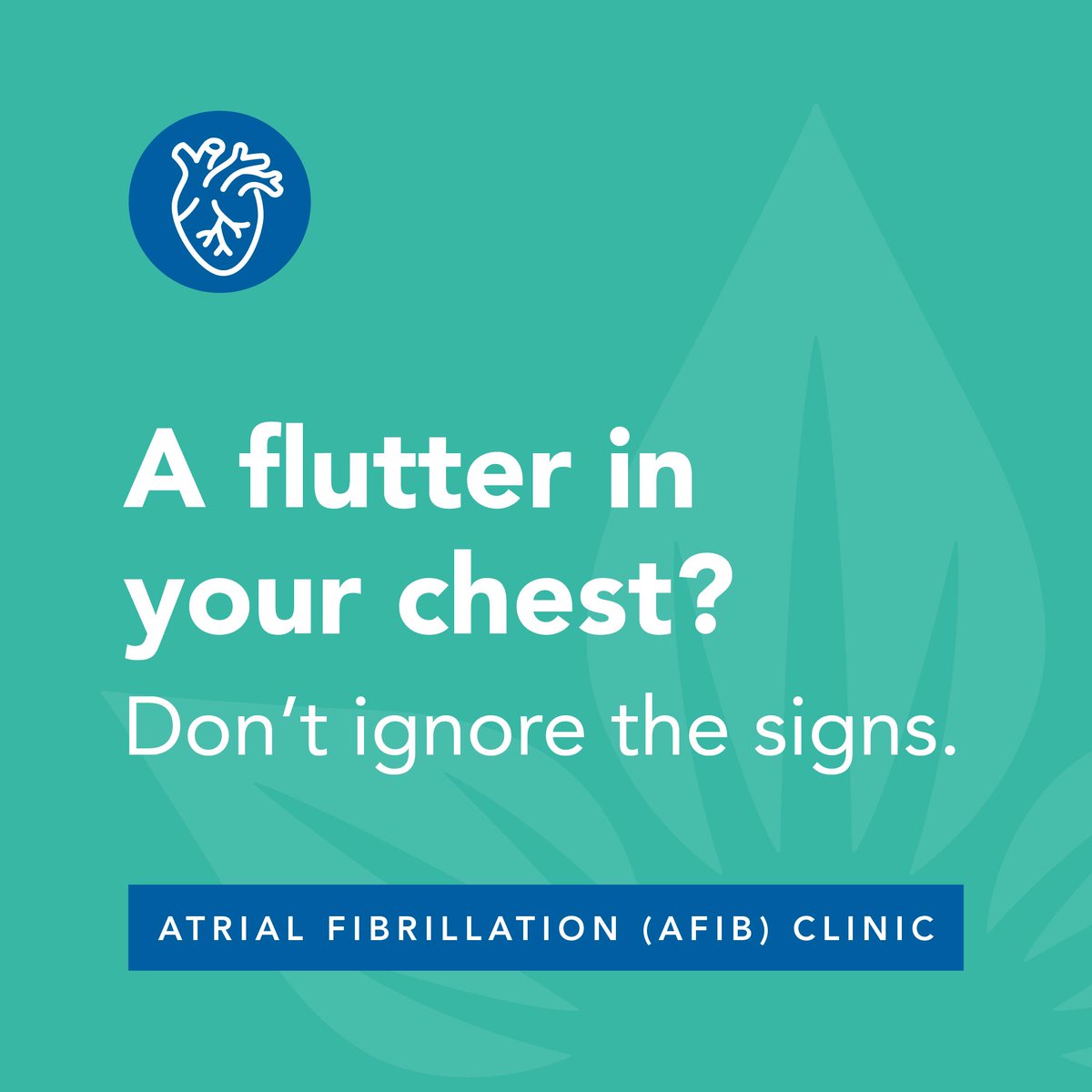 Feeling a flutter in your chest? It could be signs of Atrial Fibrillation (AFib), the most common heart rhythm disorder and a major stroke risk if left untreated.

Ask about our AFib Clinic for expert assessment, treatment and ongoing support.

Learn more:
zurl.co/gyj1N