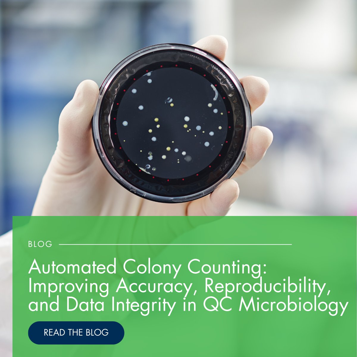 Speed matters — but so does trust in your data.
Learn how automated colony counting intersects with data integrity and what QC teams should consider.
👉 bit.ly/3O7UrBt

#QCmicrobiology #DataIntegrity #Automation #Pharma