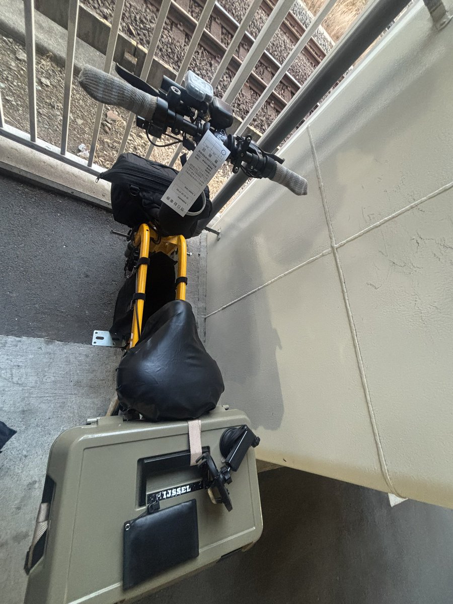 黄色いかめさん (@Yy5Sb) / Posts / X