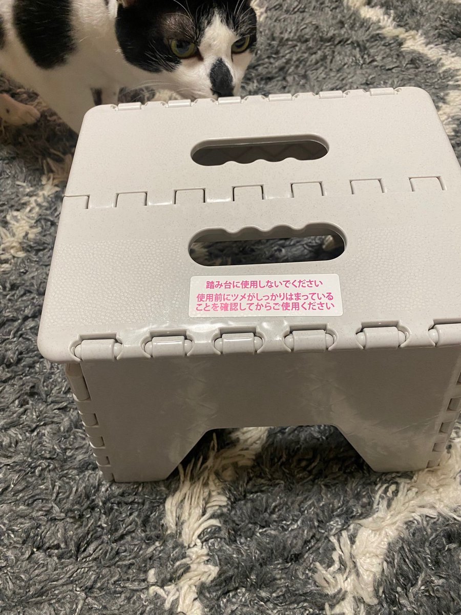 迷状況集 tweet media