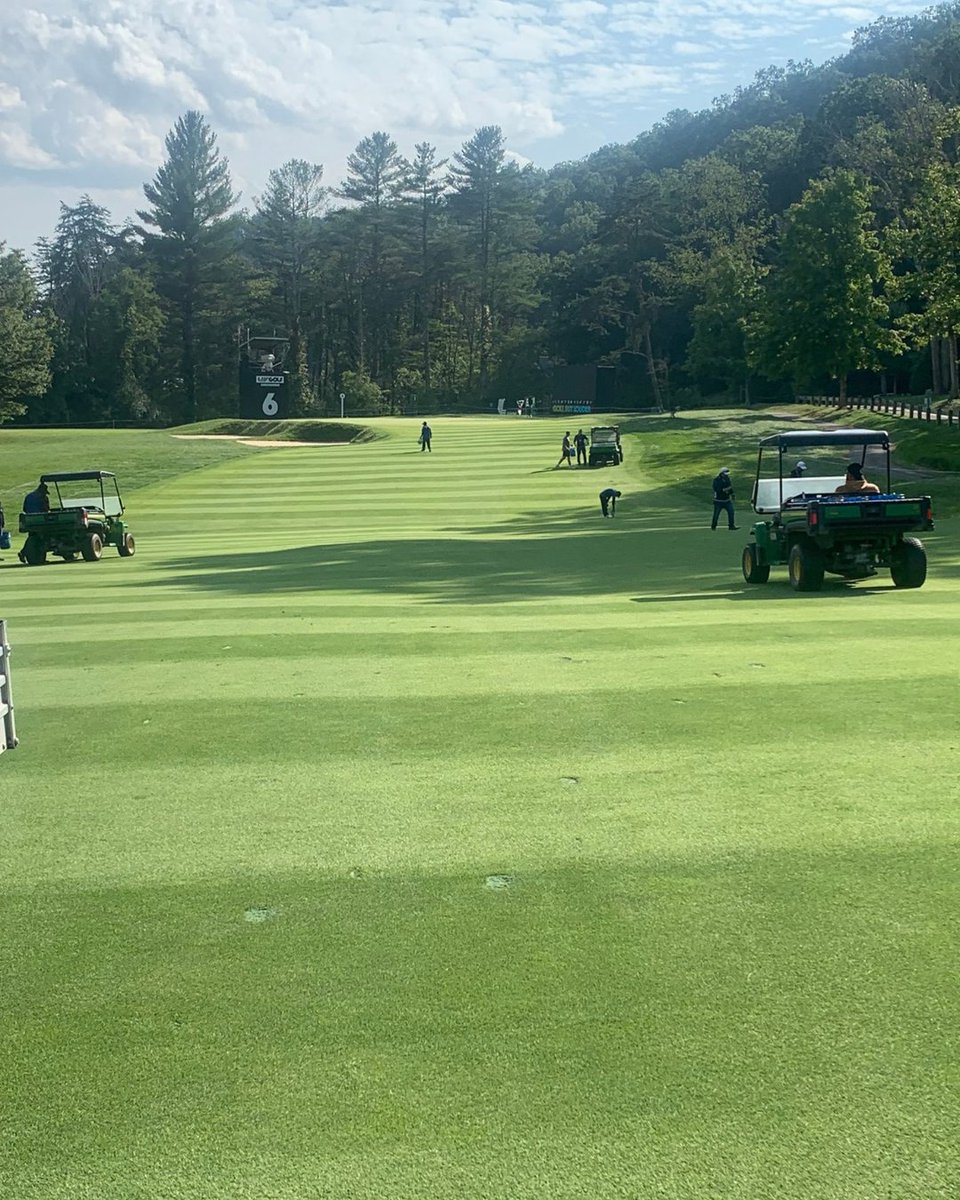 HarrellsLLC's tweet photo. Winter weeds fading? It’s time to shift into spring weed control mode! Early cleanup + strategic timing for Poa annua seedhead suppression leads to more consistent turf performance.

Read the full article from Director of Agronomy and @TurPhDudes Dr. Jeff Atkinson:
https://t.co/oMhUhLpNeW
