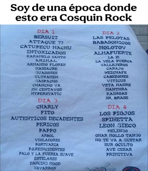 antes que a pelotudazzo le hicieran creen que el festival tenia que ser amplio e inclusivo con las minorias marrones de mierda y puso cumbia y borro el rock