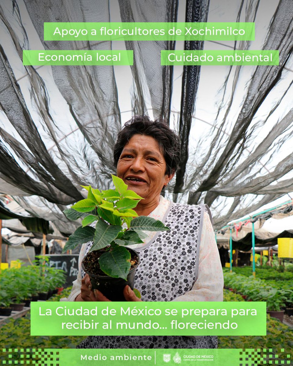 Clara Brugada Molina tweet media