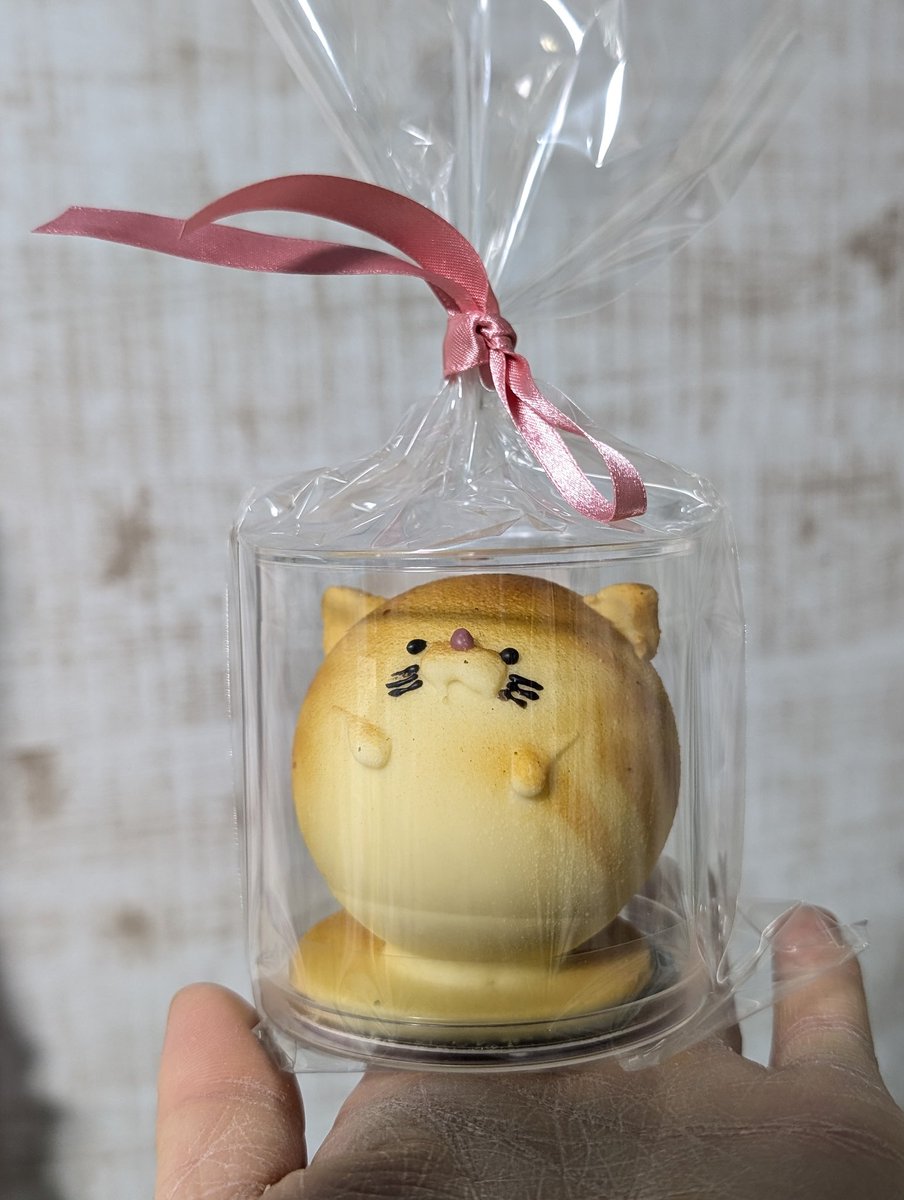 moana_7's tweet photo. にゃんころ貰った🐱💓

そして自分ご褒美ハイヒール👠

どっちもヤバい🥹✨ https://t.co/XiWHtLweVN