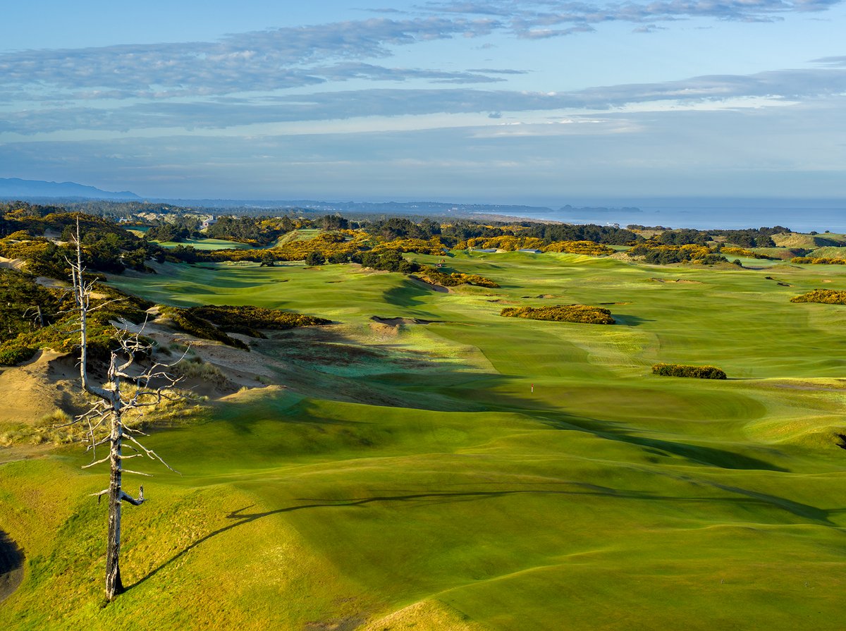 Fairway Journal tweet media