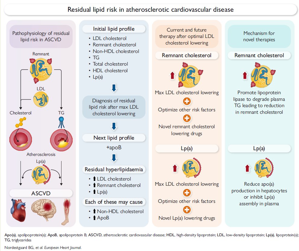 Evolving understanding of residual lipid risk in ASCVD, practical guidance today, recent advances in therapeutic interventions,  and their implications for clinical practice, aiming to optimize lipid management beyond LDL cholesterol lowering - a reveiw
academic.oup.com/eurheartj/adva…