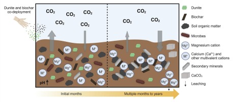 remineralize's tweet image. 🚨 Enhanced Rock Weathering + #Biochar shows measurable CO₂ sequestration, up to 3.48 t/ha in sandy soils.

Co-deployment also increased soil pH &amp;amp; reactive minerals linked to long-term carbon stabilization.

Soil-based #CDR advances. 🌍

🔗 sciencedirect.com/science/articl…

#ERW #Soil