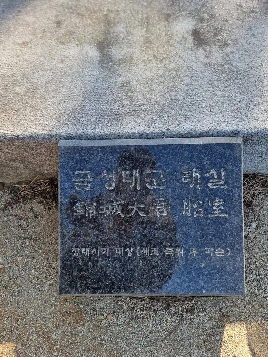 willld_mango's tweet photo. 안평대군 금성대군 태실...밑에 공통으로 써있는 말 좀 봐..........
수양 두번세번네번 죽어 https://t.co/8jHpQamAUc