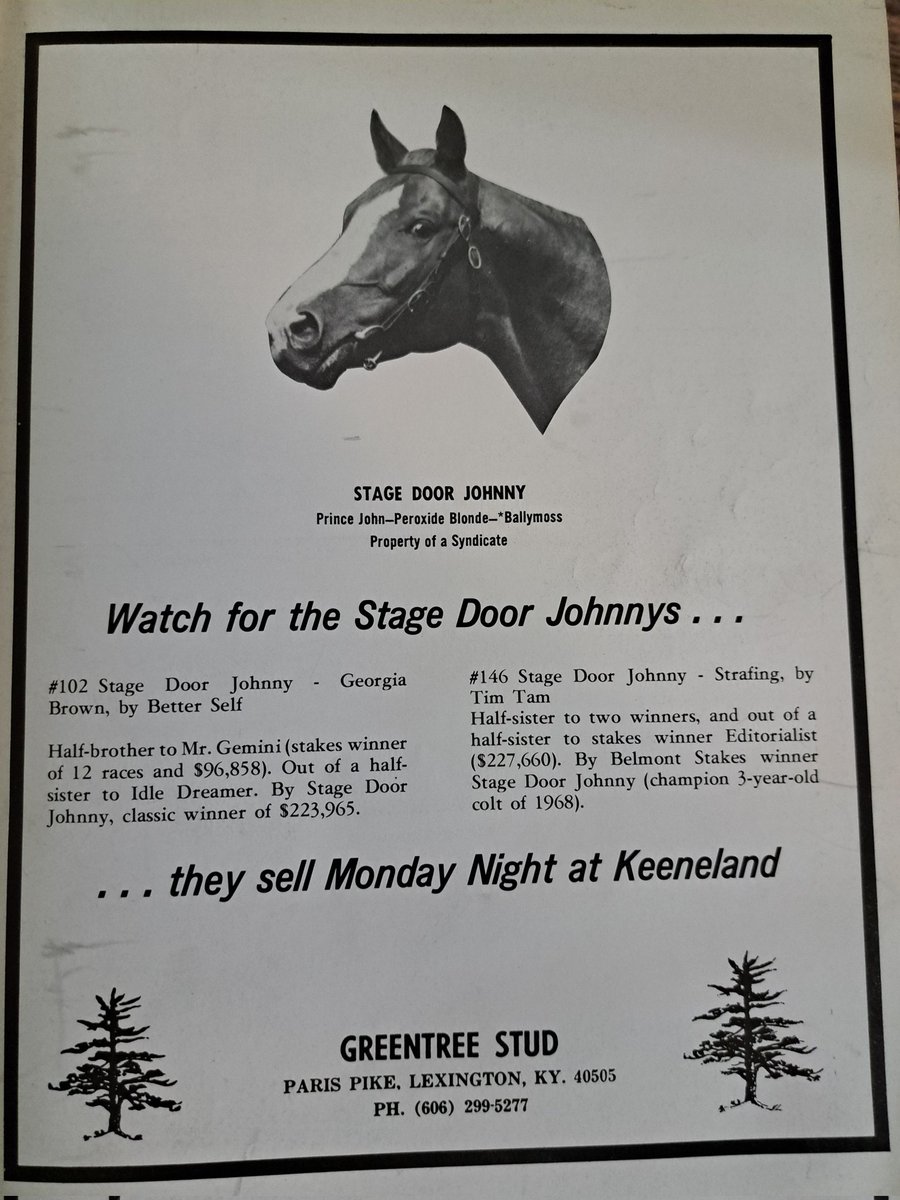 STAGE DOOR JOHNNY 1973