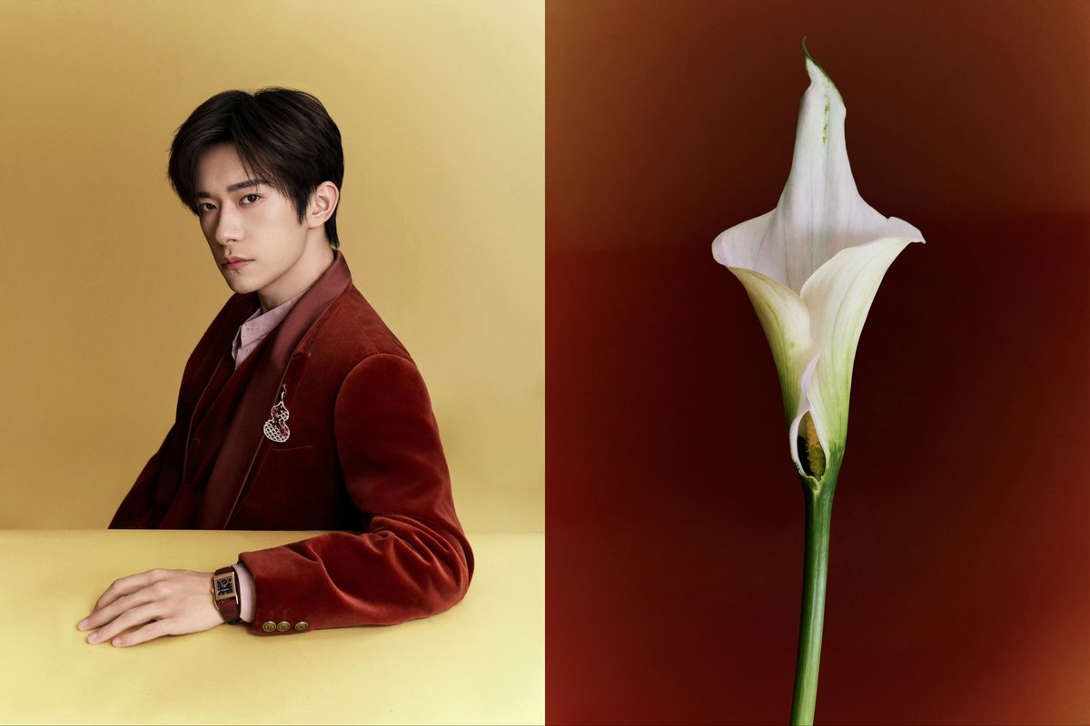 JACKSON YEE. tweet media