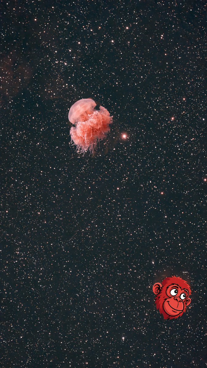 ruleoutro's tweet photo. 2026년 2월 18일 10시 52분
해파리와 원숭이
#IC443 해파리 성운 Jellyfish Nebula
#NGC2174 원숭이 머리 성운 Monkey Head Nebula
쌍둥이 자리와 오리온 자리가 가깝다 보니 이렇게 함께 촬영이 되는군요.
#SeestarS30pro #astrophotography #천체촬영 https://t.co/XoaxBRrUHK