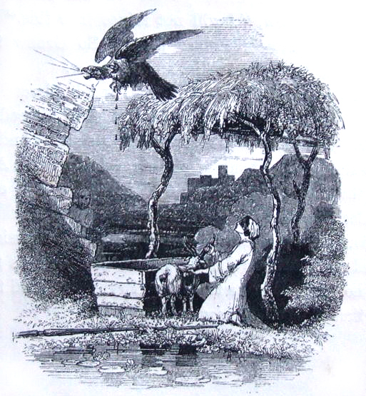 Tales from the Mabinogion tweet media