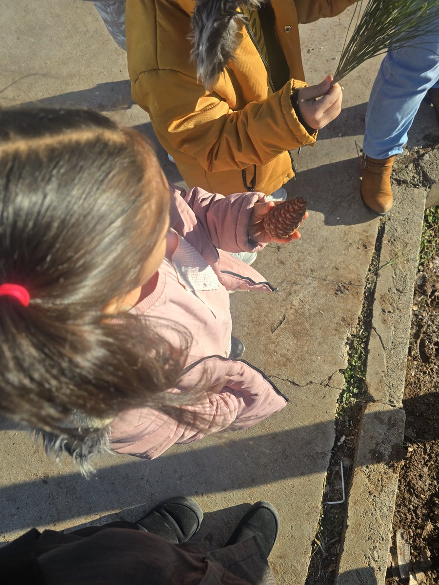 Green Future Workshop ile Doğa Keşfi 
Okulumuzda yürütülen Green Future Workshop –Yeşil Gelecek Atölyesi eTwinning projesi kapsamında, öğretmenimiz Öznur Yücel rehberliğinde öğrencilerimizle birlikte anlamlı doğa keşfi etkinliği  gerçekleştirildi
<a href="/tretwinning/">eTwinning Türkiye</a> 
<a href="/eTwinningdyrbkr/">eTwinning Diyarbakır</a>