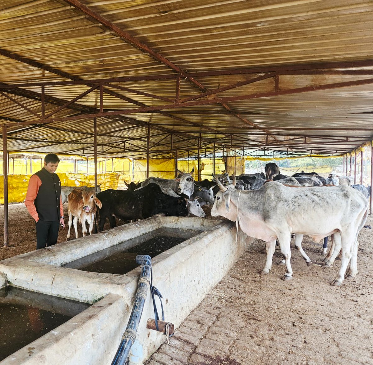 BdoLaharpur's tweet photo. ग्राम पंचायत शेरपुर में गौशाला का आकस्मिक निरीक्षण कर व्यवस्थाएं देखी। पशुओं का ठीक से रखरखाव, चारा, दवा  बेहतर स्वच्छता व्यवस्था आदि के सम्बन्ध में आवश्यक निर्देश दिए गए।
@dm_sitapur @CdoSitapur @UpCrd https://t.co/f6DRjzFojW