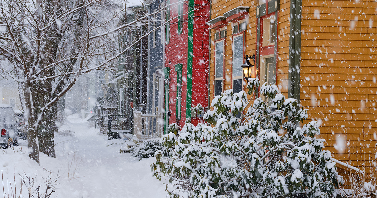 CREA | ACI tweet media