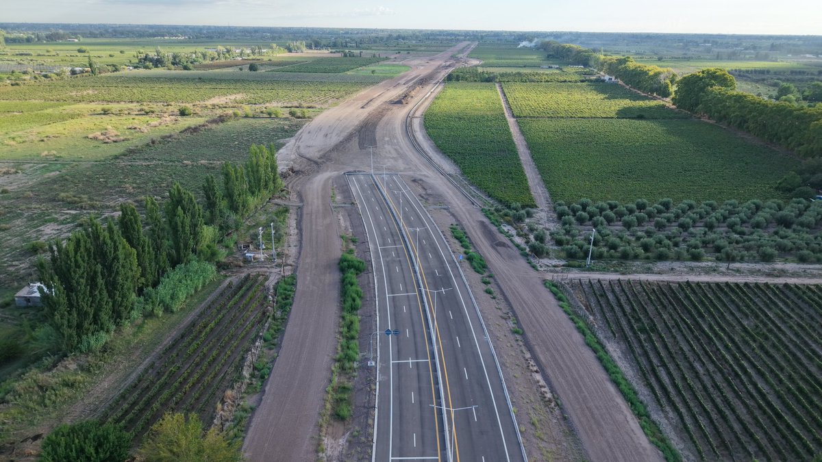 Mario Ana tweet media