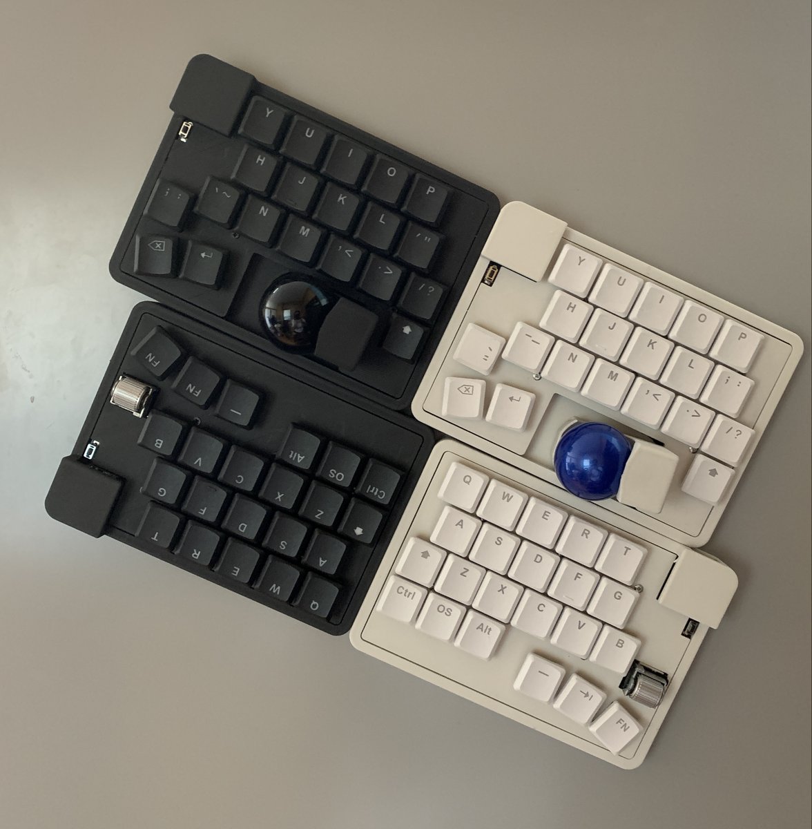 Goya（zonkey🫏🧬🦓mulkey製作者） (@goya5858_video) / Posts / X