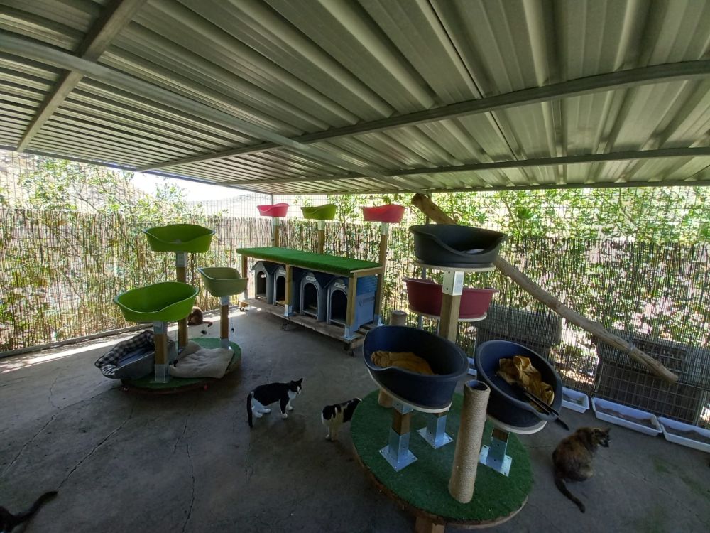 Santa Lucía refuerza el Centro de Protección Animal con un nuevo servicio de mantenimiento. <a href="/redessantalucia/">Redes Santa Lúcia</a> #centro #proteccion #animal n9.cl/85zr31