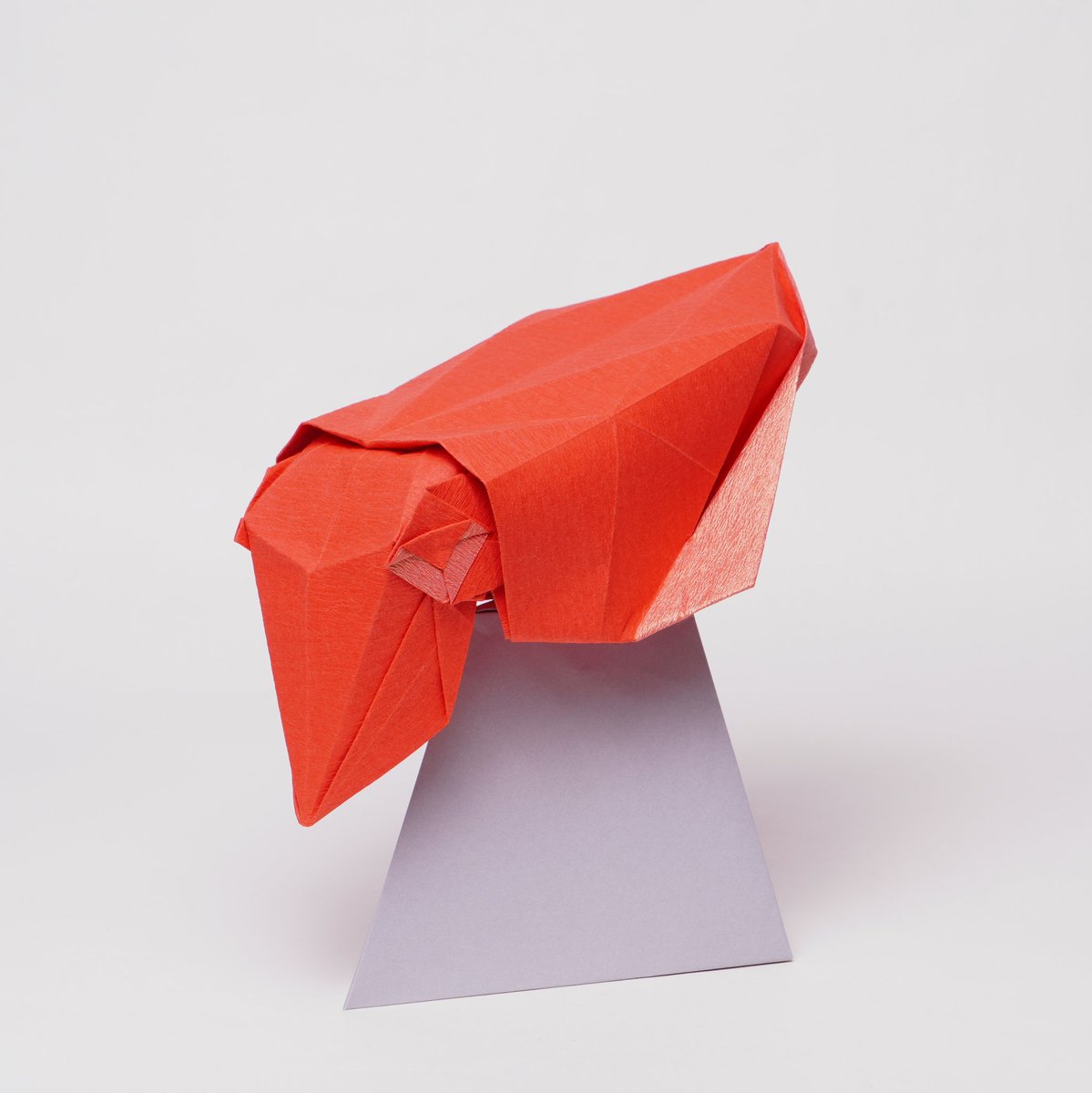 Suke527779's tweet photo. コブシメ Broadclub Cuttlefish
折り直した
新だん紙 きらら さんご 24cm
#折り紙 #origami https://t.co/d9A0Woe0Yj