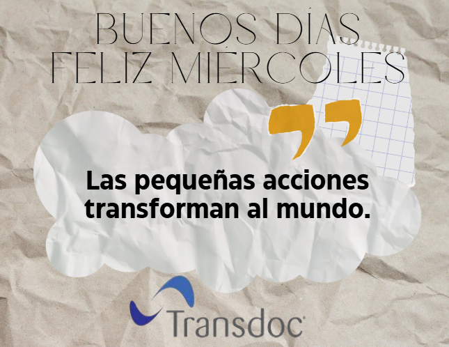 transdoctrabajos tweet media