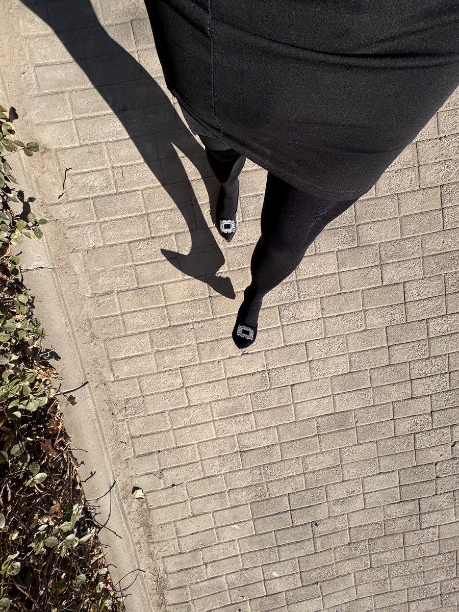 小羊同学♠️ tweet media