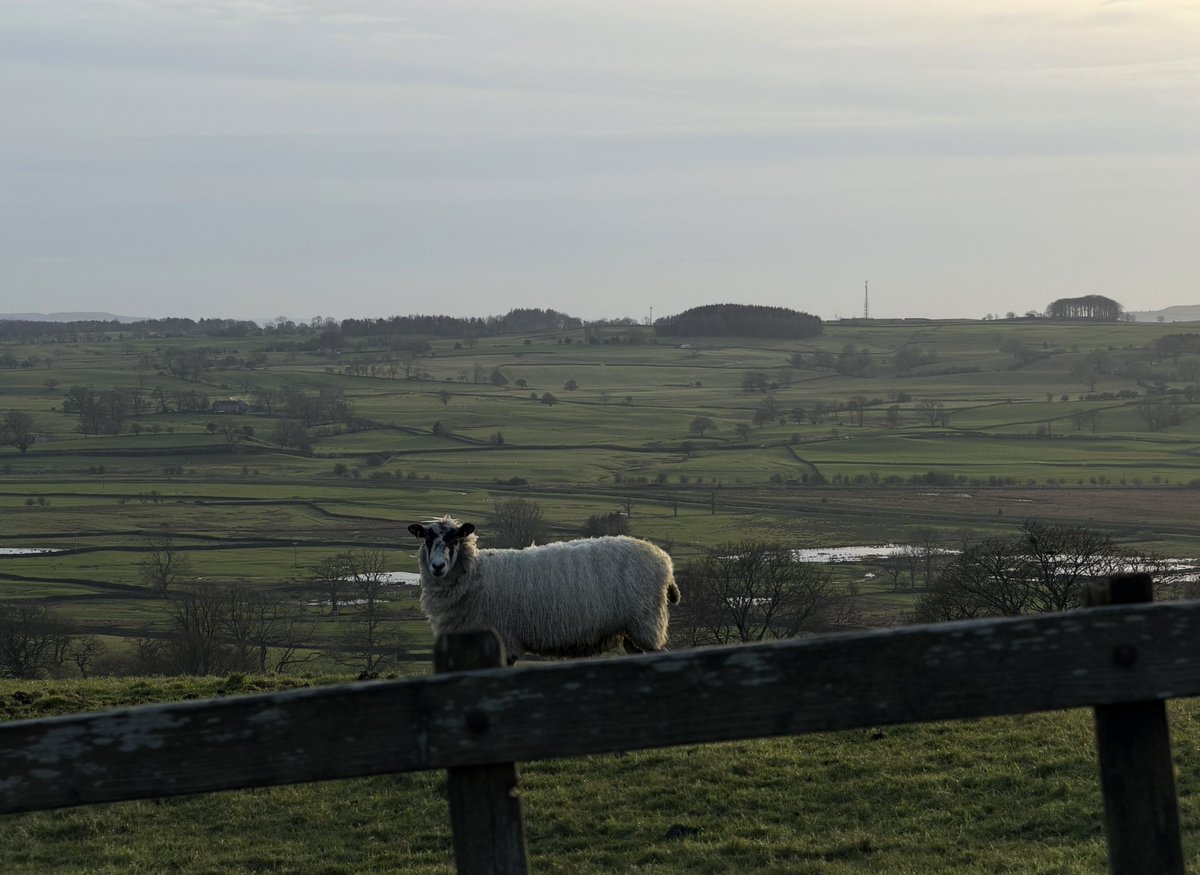 rly cool girl tweet media