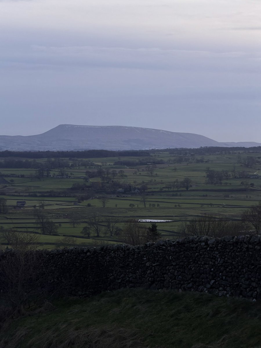 rly cool girl tweet media