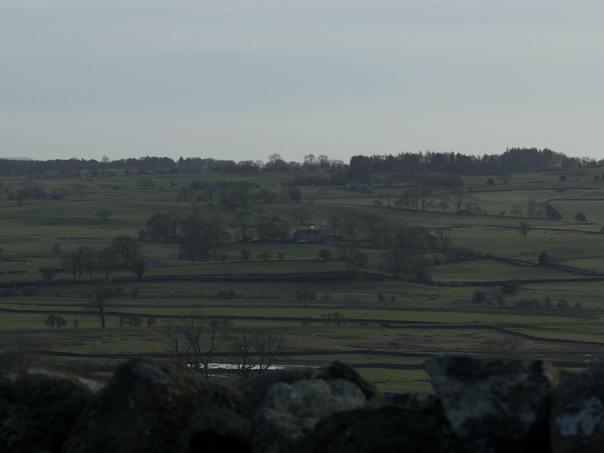 rly cool girl tweet media