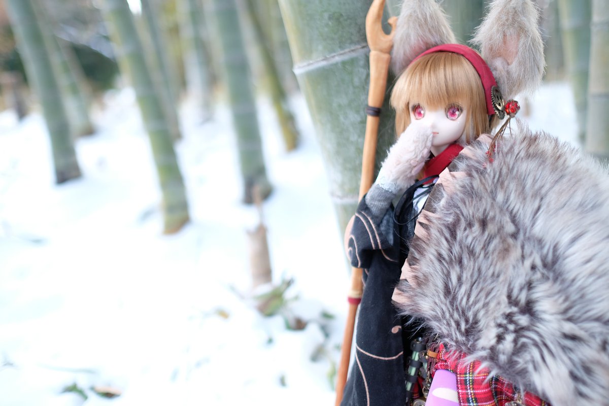 どのジャンルでもいえるかもだけど 趣味は100人いれば108通りの楽しみ