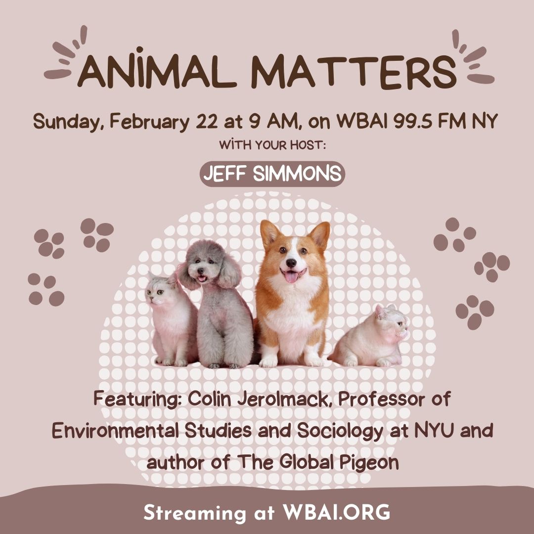Animal Matters tweet media