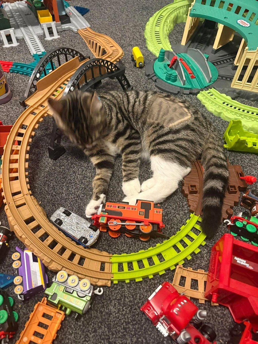 ScotRail tweet media