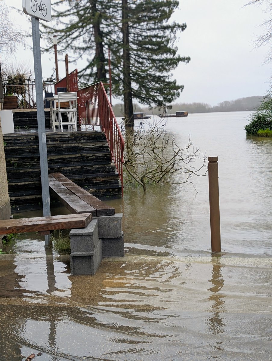 [PCS - INONDATIONS] ⚠️💧Merci d’éviter les secteurs du pont suspendu et de la Pointe afin de faciliter les interventions et de garantir la sécurité de tous. 

Nous rappelons également qu'il est interdit de naviguer à Bouchemaine. 

Infos 👉ville-bouchemaine.fr/actualites/ino…