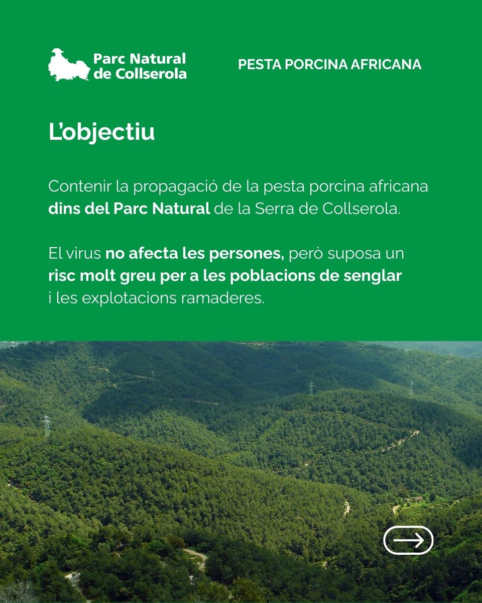 <a href="/agriculturacat/">Agricultura</a> <a href="/ajsantfeliu/">Ajuntament de Sant Feliu de Llobregat</a> ⚠️Recordem que:
👉 Zona d’alt risc: es manté la prohibició total d’accés.

👉 Zona de baix risc dins del Parc Natural de Collserola: accés restringit:
      🌞 De dia (6–22 h): activitats de lleure només en grups de fins a 10 persones
      🌙 De nit (22–6 h): accés prohibit