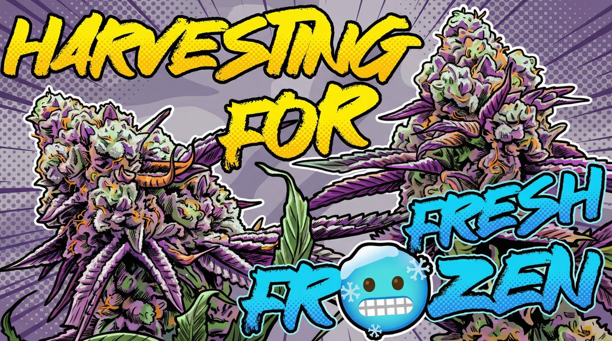 CronkNutrients tweet media