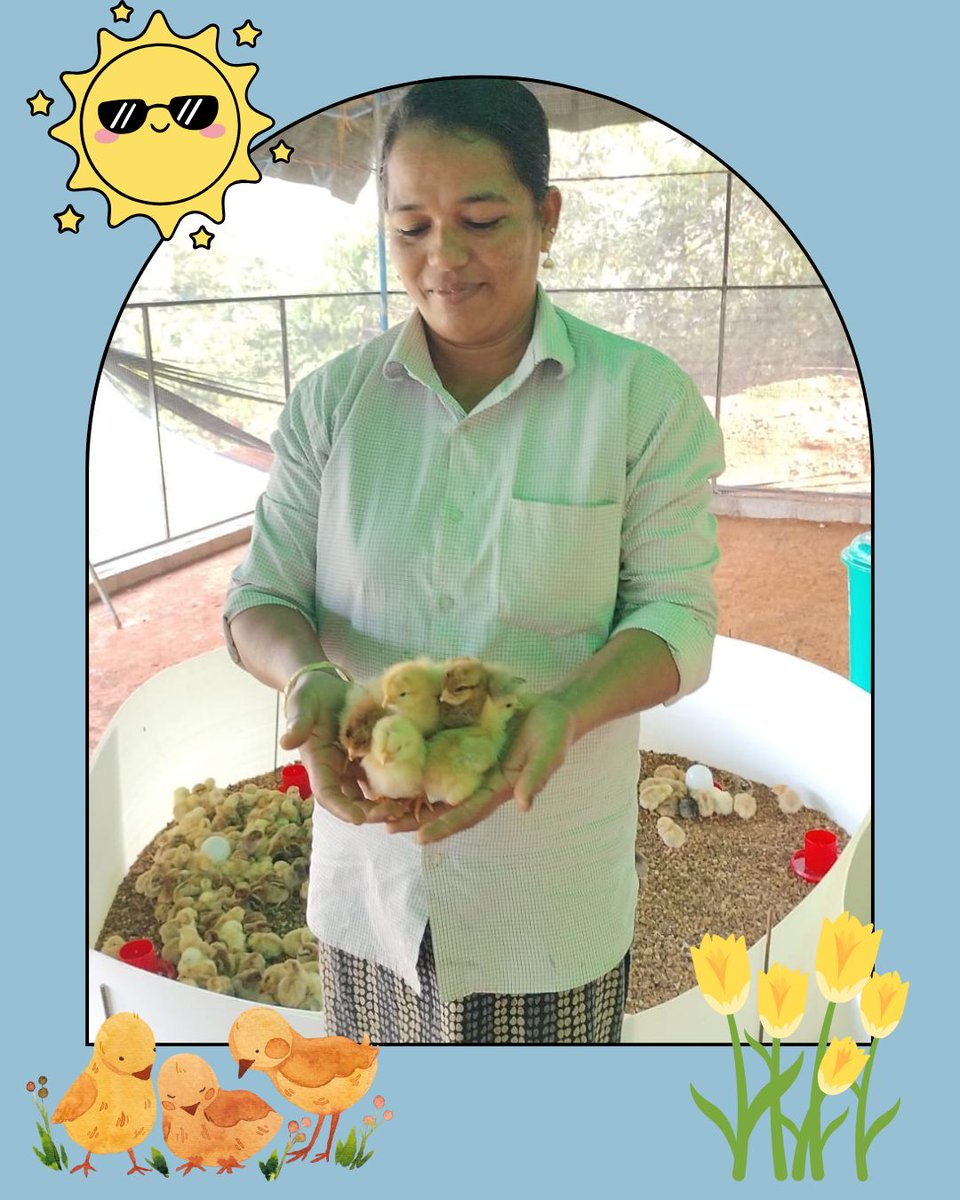 Profugo_Friends's tweet photo. A little dose of warmth for everyone who has spring fever.  Hundreds of chicks were delivered to the Profugo Center of Development to be distributed to women and their families.  These hens will provide each family with fresh eggs.  
#Profugo #springfever #fuzzychicks #nonprofit https://t.co/M0CxIOxEwz