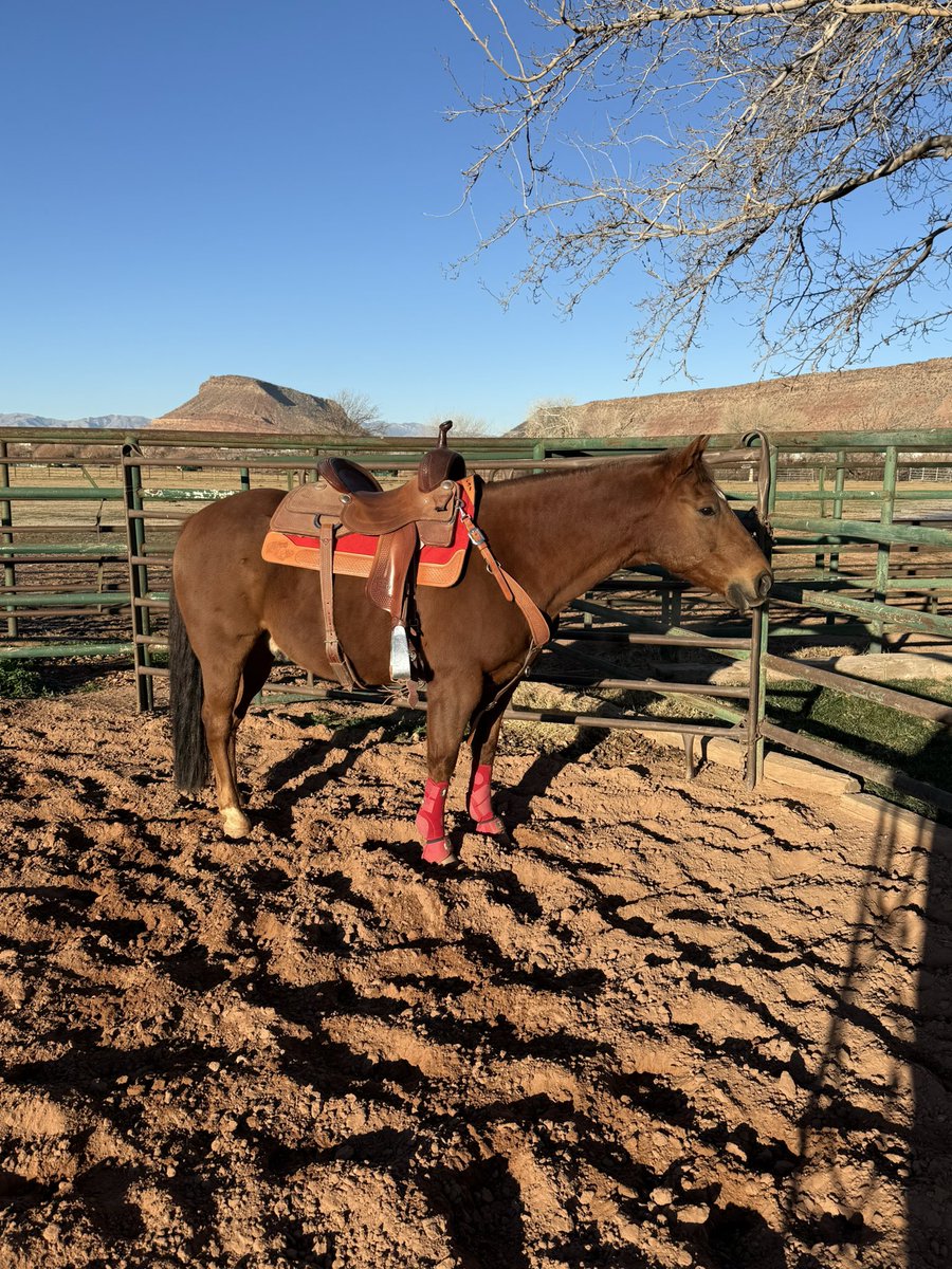 Patrick Dorinson tweet media