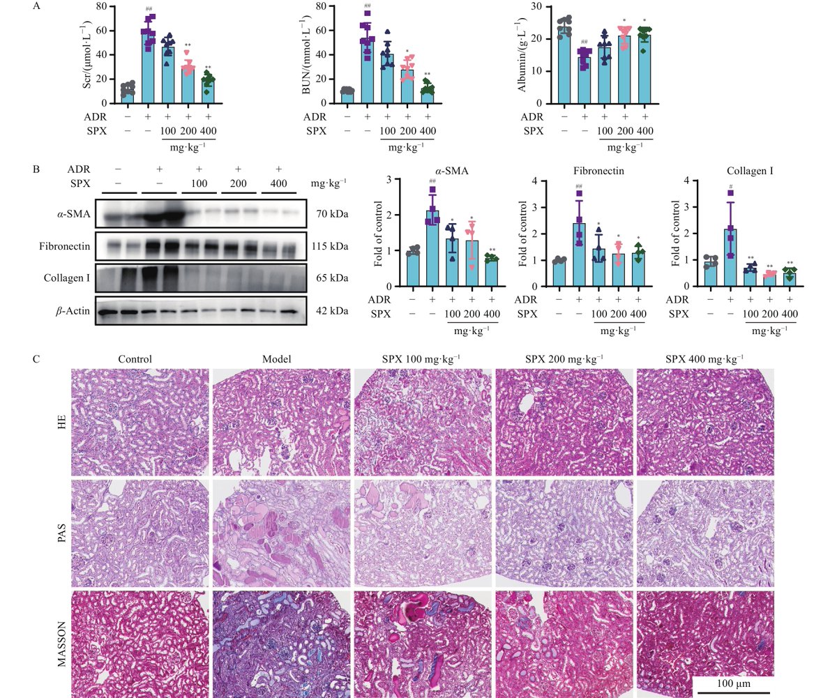 Chinese Journal of Natural Medicines tweet media