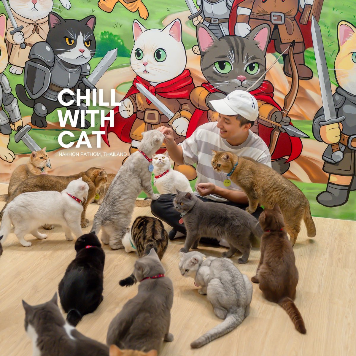 Cafe Story : รีวิวคาเฟ่ tweet media