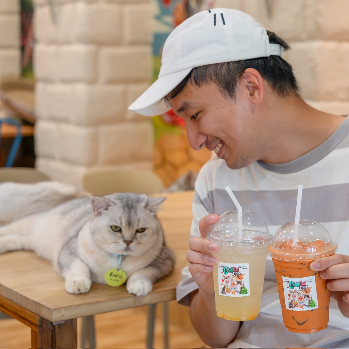 Cafe Story : รีวิวคาเฟ่ tweet media