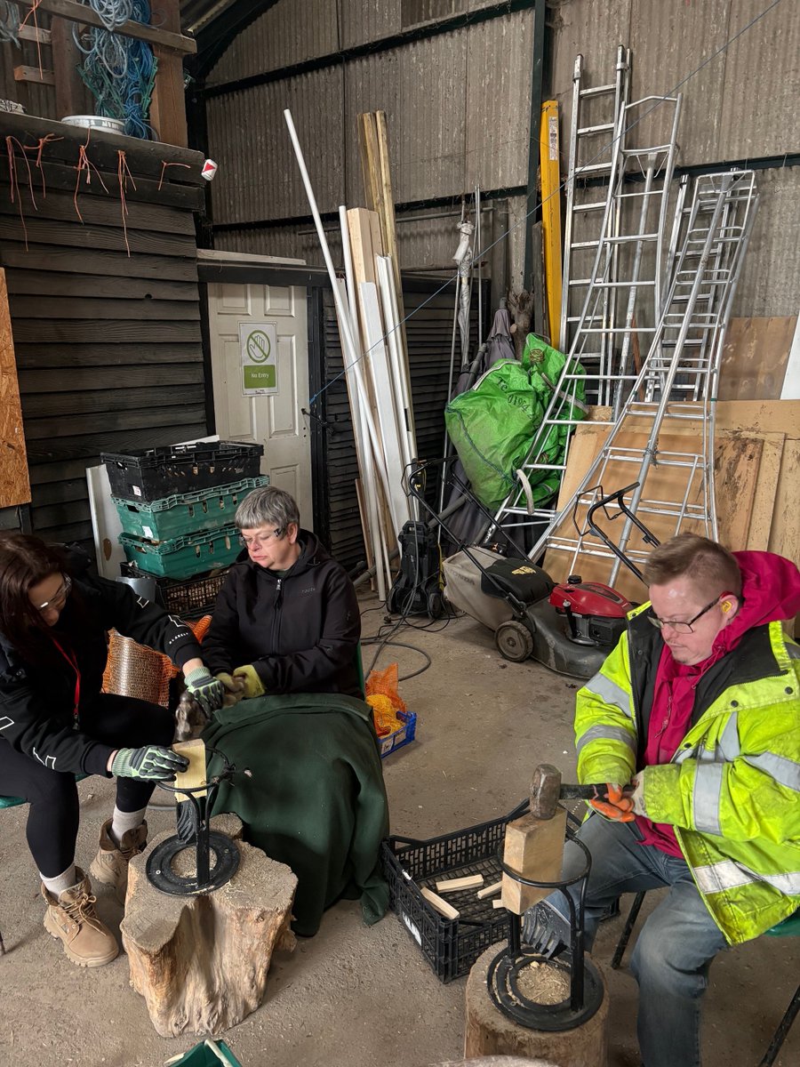 TillyTractor tweet media