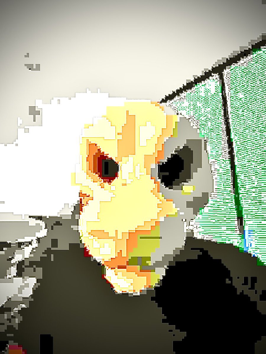 pyrox 🔜 tff tweet media