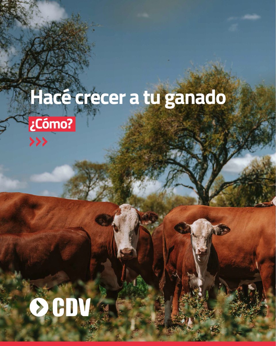 Laboratorio CDV tweet media