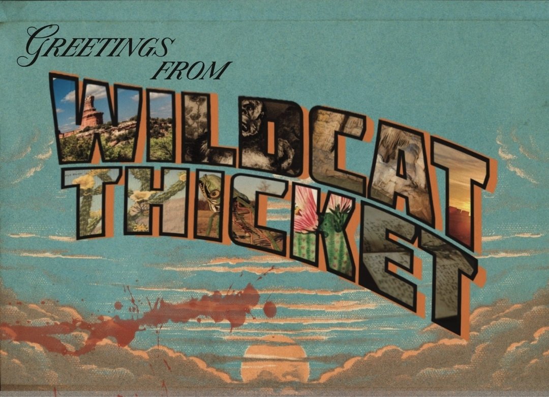 Infested Publishing tweet media